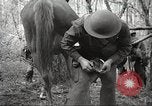 Standbild 1st Cavalry Division Salem Oregon USA, 1942, aus Sekunde 55 historischem Filmmaterial Videoclip 65675063116