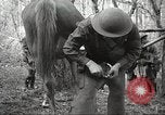Standbild 1st Cavalry Division Salem Oregon USA, 1942, aus Sekunde 56 historischem Filmmaterial Videoclip 65675063116