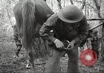 Standbild 1st Cavalry Division Salem Oregon USA, 1942, aus Sekunde 57 historischem Filmmaterial Videoclip 65675063116