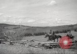 Standbild 1st Cavalry Division Salem Oregon USA, 1942, aus Sekunde 23 historischem Filmmaterial Videoclip 65675063117