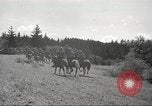 Standbild 1st Cavalry Division Salem Oregon USA, 1942, aus Sekunde 45 historischem Filmmaterial Videoclip 65675063117