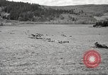 Standbild 1st Cavalry Division Salem Oregon USA, 1942, aus Sekunde 15 historischem Filmmaterial Videoclip 65675063118