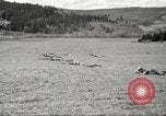 Standbild 1st Cavalry Division Salem Oregon USA, 1942, aus Sekunde 16 historischem Filmmaterial Videoclip 65675063118