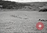 Standbild 1st Cavalry Division Salem Oregon USA, 1942, aus Sekunde 17 historischem Filmmaterial Videoclip 65675063118