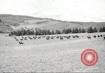 Standbild 1st Cavalry Division Salem Oregon USA, 1942, aus Sekunde 45 historischem Filmmaterial Videoclip 65675063118