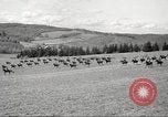 Standbild 1st Cavalry Division Salem Oregon USA, 1942, aus Sekunde 47 historischem Filmmaterial Videoclip 65675063118