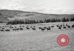 Standbild 1st Cavalry Division Salem Oregon USA, 1942, aus Sekunde 50 historischem Filmmaterial Videoclip 65675063118