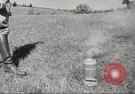 Standbild 1st Cavalry Division Salem Oregon USA, 1942, aus Sekunde 3 historischem Filmmaterial Videoclip 65675063119