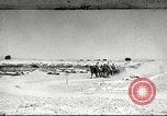 Standbild 1st Cavalry Division United States USA, 1942, aus Sekunde 1 historischem Filmmaterial Videoclip 65675063120