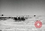 Standbild 1st Cavalry Division United States USA, 1942, aus Sekunde 3 historischem Filmmaterial Videoclip 65675063120
