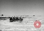 Standbild 1st Cavalry Division United States USA, 1942, aus Sekunde 4 historischem Filmmaterial Videoclip 65675063120