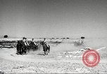 Standbild 1st Cavalry Division United States USA, 1942, aus Sekunde 5 historischem Filmmaterial Videoclip 65675063120