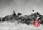 Standbild 1st Cavalry Division United States USA, 1942, aus Sekunde 15 historischem Filmmaterial Videoclip 65675063120