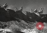 Standbild 1st Cavalry Division United States USA, 1942, aus Sekunde 35 historischem Filmmaterial Videoclip 65675063120