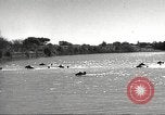 Standbild 1st Cavalry Division United States USA, 1942, aus Sekunde 21 historischem Filmmaterial Videoclip 65675063121