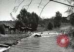 Standbild 1st Cavalry Division United States USA, 1942, aus Sekunde 36 historischem Filmmaterial Videoclip 65675063121
