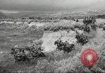Standbild 1st Cavalry Division United States USA, 1942, aus Sekunde 55 historischem Filmmaterial Videoclip 65675063121