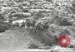 Standbild 1st Cavalry Division United States USA, 1942, aus Sekunde 59 historischem Filmmaterial Videoclip 65675063121