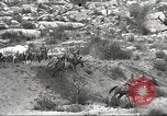 Standbild 1st Cavalry Division United States USA, 1942, aus Sekunde 60 historischem Filmmaterial Videoclip 65675063121