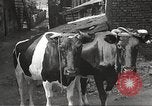 Standbild Juden Dombrowa Polen, 1940, aus Sekunde 21 historischem Filmmaterial Videoclip 65675063125