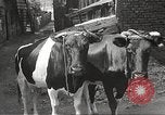 Standbild Juden Dombrowa Polen, 1940, aus Sekunde 22 historischem Filmmaterial Videoclip 65675063125