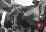Standbild Juden Dombrowa Polen, 1940, aus Sekunde 28 historischem Filmmaterial Videoclip 65675063125
