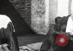 Standbild Juden Dombrowa Polen, 1940, aus Sekunde 35 historischem Filmmaterial Videoclip 65675063125