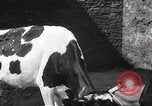 Standbild Juden Dombrowa Polen, 1940, aus Sekunde 36 historischem Filmmaterial Videoclip 65675063125