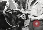 Standbild Juden Dombrowa Polen, 1940, aus Sekunde 38 historischem Filmmaterial Videoclip 65675063125