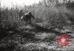 Image of clearing path United States USA, 1946, second 50 stock footage video 65675063130