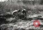 Image of clearing path United States USA, 1946, second 53 stock footage video 65675063130