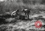 Image of clearing path United States USA, 1946, second 54 stock footage video 65675063130