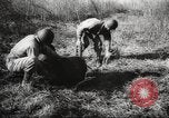 Image of clearing path United States USA, 1946, second 55 stock footage video 65675063130