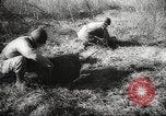Image of clearing path United States USA, 1946, second 58 stock footage video 65675063130
