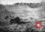 Image of clearing path United States USA, 1946, second 59 stock footage video 65675063130