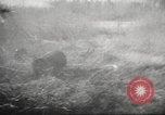 Image of clearing path United States USA, 1946, second 60 stock footage video 65675063130