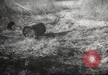 Image of clearing path United States USA, 1946, second 61 stock footage video 65675063130