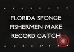 Image of sponge fishing Florida United States USA, 1946, second 1 stock footage video 65675063134