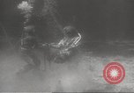 Image of sponge fishing Florida United States USA, 1946, second 26 stock footage video 65675063134