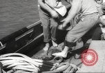 Image of sponge fishing Florida United States USA, 1946, second 45 stock footage video 65675063134