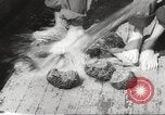 Image of sponge fishing Florida United States USA, 1946, second 46 stock footage video 65675063134