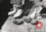Image of sponge fishing Florida United States USA, 1946, second 47 stock footage video 65675063134