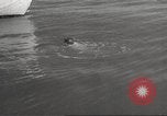 Image of sponge fishing Florida United States USA, 1946, second 52 stock footage video 65675063134