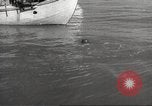 Image of sponge fishing Florida United States USA, 1946, second 54 stock footage video 65675063134