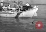 Image of sponge fishing Florida United States USA, 1946, second 56 stock footage video 65675063134