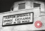 Image of sponge fishing Florida United States USA, 1946, second 58 stock footage video 65675063134