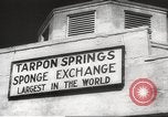 Image of sponge fishing Florida United States USA, 1946, second 59 stock footage video 65675063134