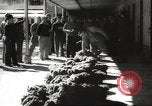 Image of sponge fishing Florida United States USA, 1946, second 60 stock footage video 65675063134