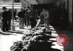 Image of sponge fishing Florida United States USA, 1946, second 61 stock footage video 65675063134