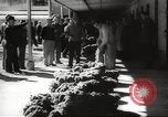 Image of sponge fishing Florida United States USA, 1946, second 62 stock footage video 65675063134